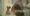 A close-up of the painting where a brown-haired woman is getting her hair done.